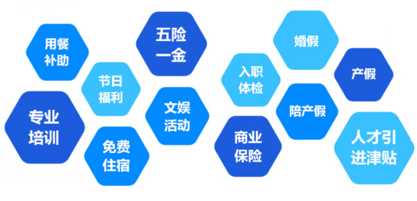 提供全面、系統(tǒng)、專業(yè)的培訓和廣闊的<br>職業(yè)發(fā)展空間和提升機會